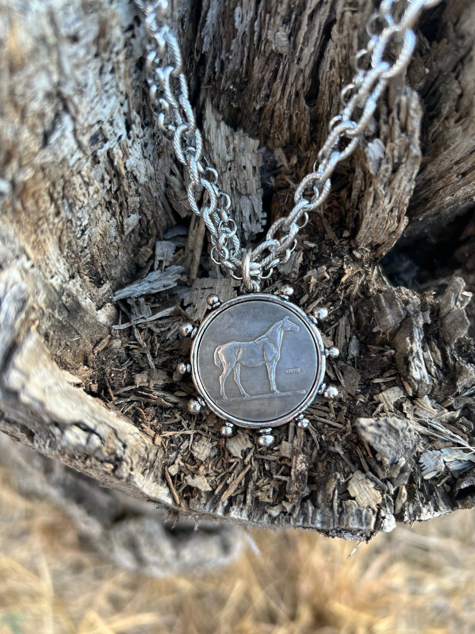 Silver Horse Coin Double Chain Necklace